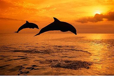 《蒸汽世界：建造》实机演示 年内正式发售